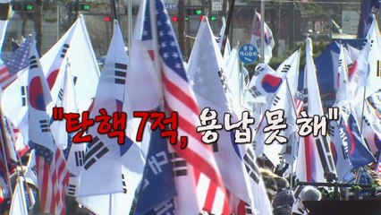 [영상] 태극기집회에서 외친 '탄핵 7적' / YTN