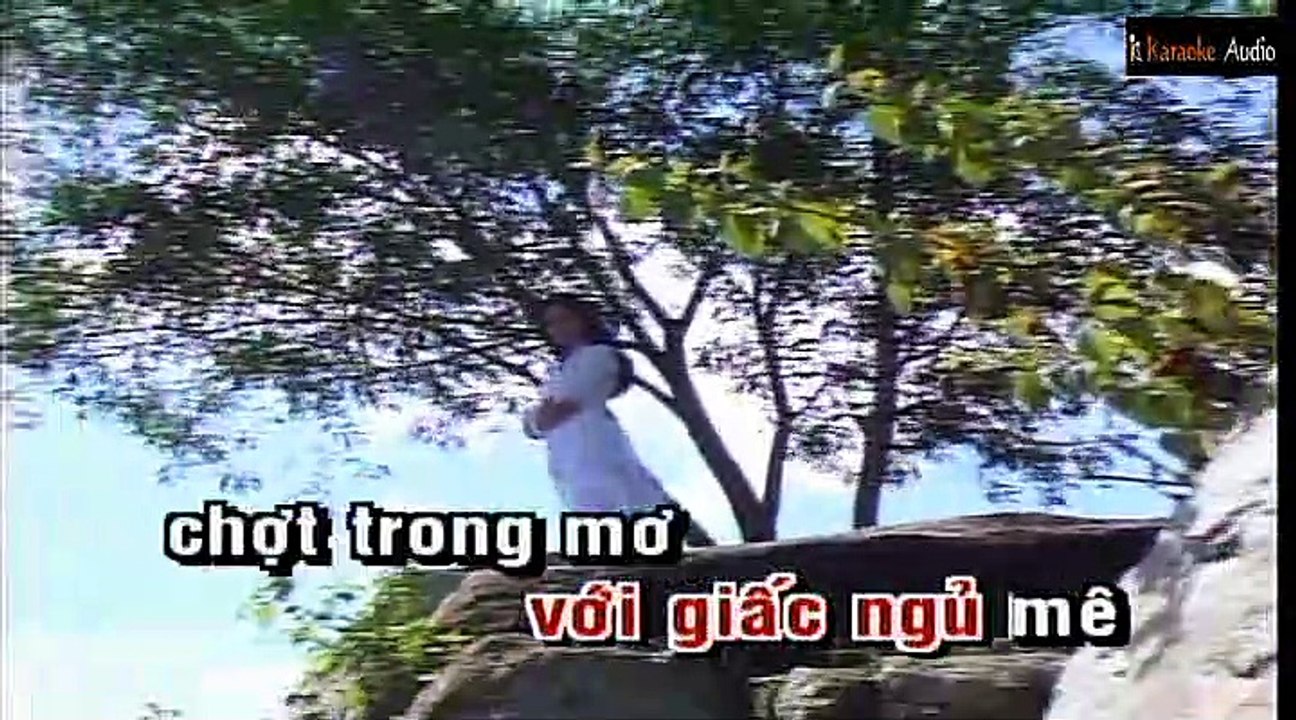 Xin Yêu Tôi Bằng TÌnh Người - Phi Nhung