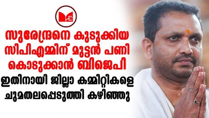 K Surendran | സിപിഎം നേതാക്കളുടെയും മന്ത്രിമാരുടെയും കേസുകൾ പുറത്തുകൊണ്ടുവരാനാണ് ബിജെപിയുടെ നീക്കം