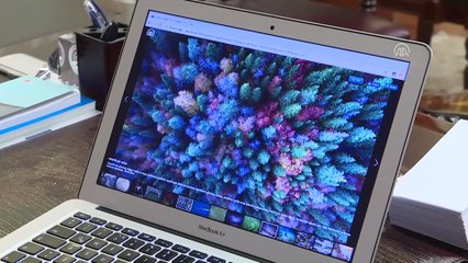 Adalet Bakanı Abdulhamit Gül, AA'nın 'Yılın Fotoğrafları' oylamasına katıldı - ANKARA