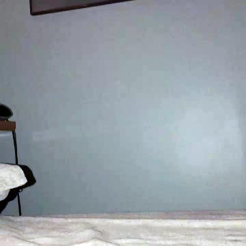 Cat Climbs Wall Hunting a Laser Pointer