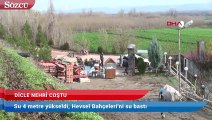 Dicle coştu, Hevsel Bahçeleri’ni su bastı