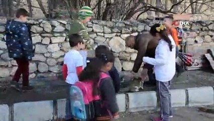 Sokaktaki Kediler Üşümesin Diye Lastiklerden Kedi Evi Yaptı