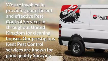 Quite Effective Pest Control Kent services