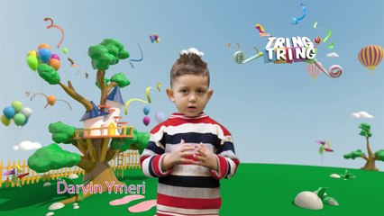 Une jam Tring Tring |Darvin Ymeri