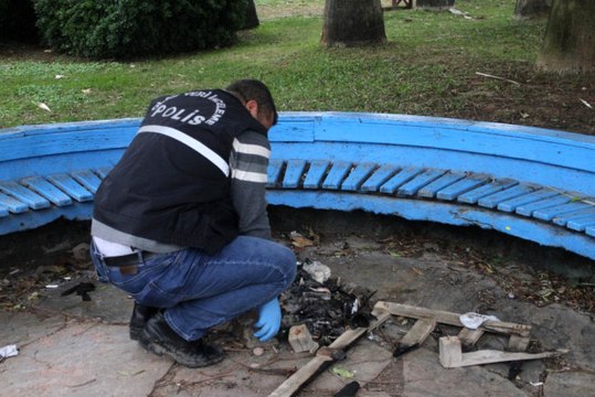 Dehşete Düşüren Olay! Yavru Kediyi Yakarak Öldürdüler