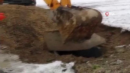 Rögar Kuyusuna Düşen Eşek Operasyonla Kurtarıldı