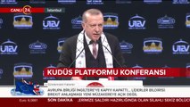 Cumhurbaşkanı Erdoğan: Kendi göbeğimizi kendimiz kestik