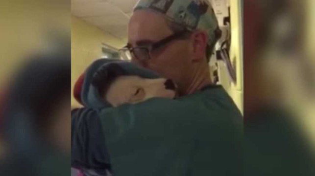 Adorable : un vétérinaire rassure un chiot terrifié après une opération