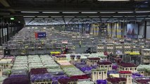 عواقب متوقعة للبريكست على تجارة الزهور في هولندا