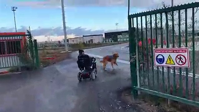 Toulouse : Des personnes handicapés en colère et des gilets jaunes pénètrent sur les pistes de l’aéroport bloquant le trafic aérien