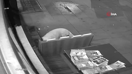 Isparta'da Köpek Kitap Çaldı