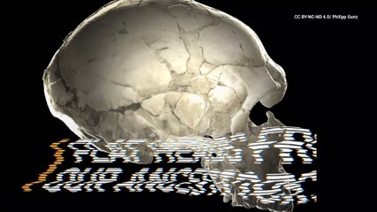 Interbreeding With Neanderthals May Have Made Our Heads Flatter