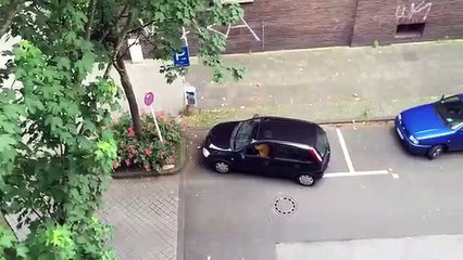 Une femme au volant dune petite voiture essaie de faire un créneau