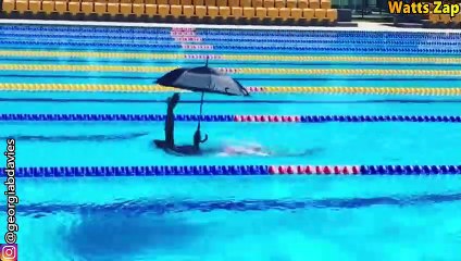 Watts Zap 2018 Best Funny Sports