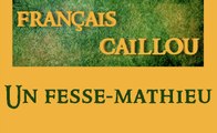 Français caillou / Définition du jour : Un fesse-mathieu