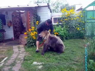 Man and Bear Hug It Out