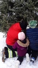 Christmas Tree Topples Onto Toddler
