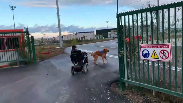 Toulouse : Des personnes handicapés en colère et des gilets jaunes pénètrent sur les pistes de l’aéro