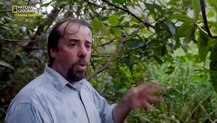 Le megastrutture di Hitler - 3x05 - Mega navi...!!!