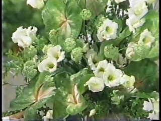 徹子の部屋　安井かずみさんを偲んで　加藤和彦　1994.5.6