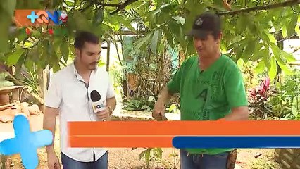 mqn-del-Chocolate-nació-la-prosperidad-141218