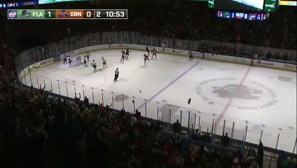 ECHL Florida Everblades 2 at Greenville Swamp Rabbits 1