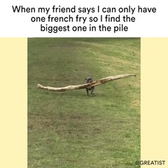 When my friend says I can only have one french fry so I find the the biggest one in the pile