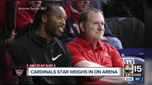 Larry Fitzgerald: Suns owner 
