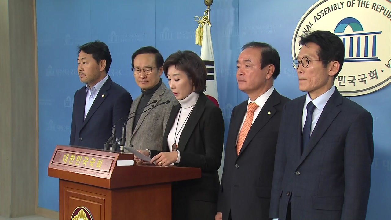 여야 '선거제 개편' 큰 틀 합의..."연동형 비례대표제 구체 방안 검토" / YTN