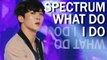 [HOT] SPECTRUM  - What Do I Do , 스펙트럼 - What Do I Do Show Music core 20181215