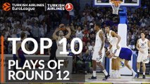 Top 10 Plays  - Turkish Airlines EuroLeague Regular Season Round 12