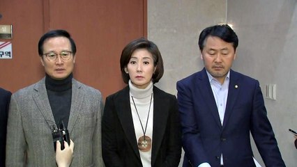 여야, '연동형 비례대표제' 원칙적 동의 / YTN