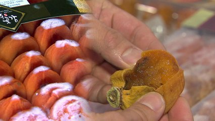 겨울철 주황빛 설레임 곶감 본격 출하 / YTN
