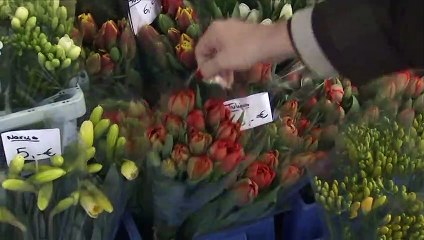 El euro celebra 23 años desde que aprobaran su creación