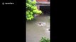 Firefighters swim through flooded road to rescue trapped girls