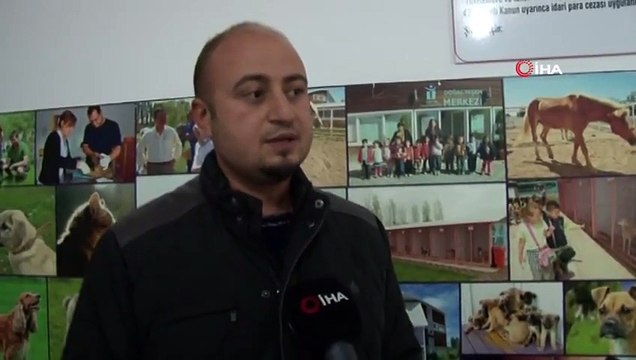 Engelli Sokak Hayvanlarına Siz de Engel Olmayın