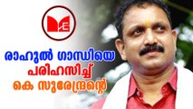 K Surendran |  രാഹുൽ ഗാന്ധിയെ പരിഹസിച്ച്‌  കെ സുരേന്ദ്രന്റെ ഫേസ്ബുക്ക് പോസ്റ്റ്.