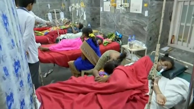 الهند: أرز بالطماطم في معبد هندوسي يقتل 11 شخصا ويصيب 90 آخرين وحديث عن .. مبيد حشري!
