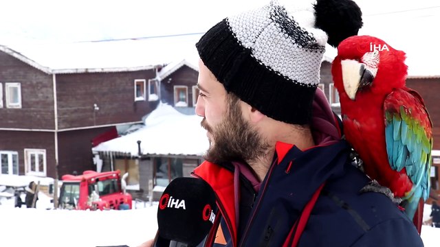 Zigana Dağı'nda kar kalınlığı 80 santimetreye ulaştı