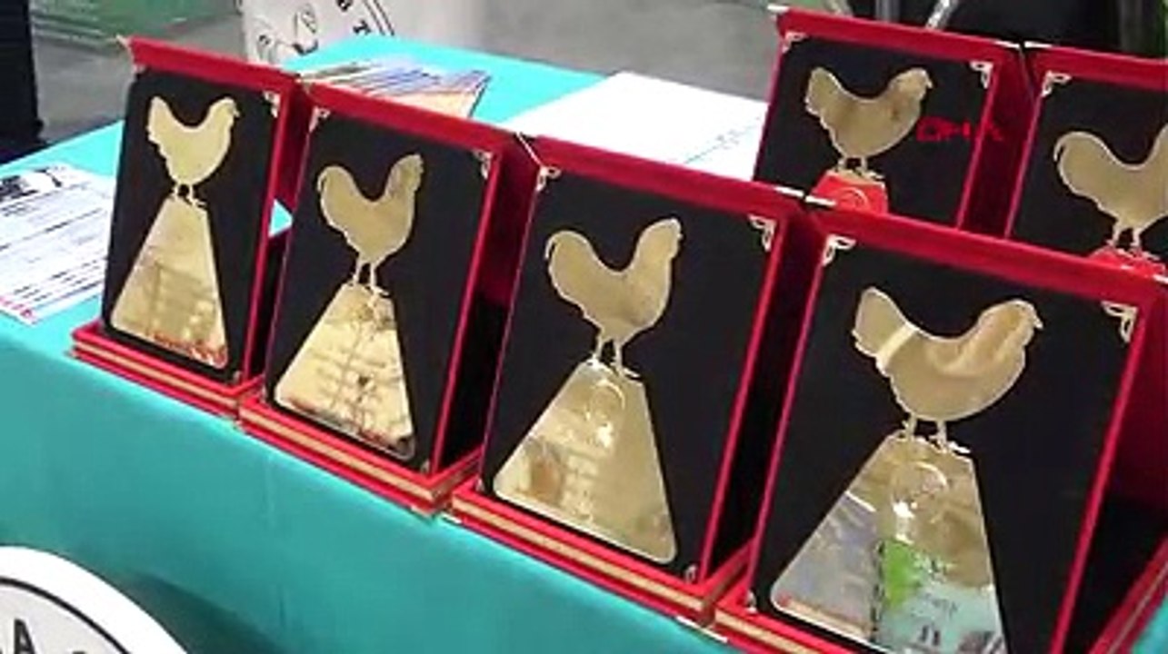 İzmir'de kümes hayvanları yarışması düzenlendi