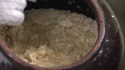 명맥 끊긴 '감성돔 식해' 215년 만에 재현 / YTN