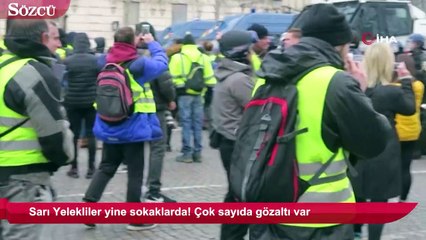 Sarı Yelekliler yine sokaklarda! Çok sayıda gözaltı var