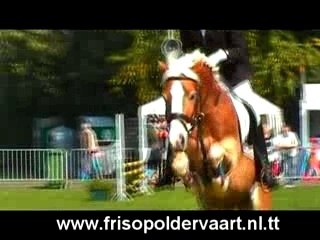 Friso Poldervaart - Showreel 2007