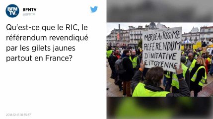 Gilets jaunes. Beaucoup de banderoles avec la mention "RIC": c'est quoi le référendum d'initiative citoyenne ?
