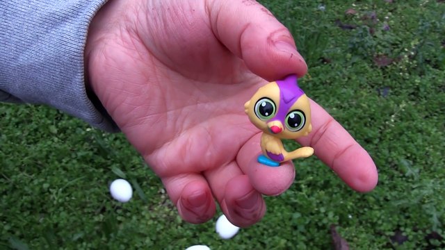 Sürpriz Yumurta Yumurtlayan Tavuklar | Tavuk Sürpriz Yumurta Nasıl Yapılır?