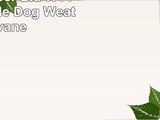 Dragon Laser Ltd W145BLK Beagle Dog Weathervane