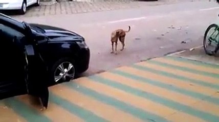 شاهد الفيدو سوفة   تعيد المشاهدة    Mira los videos que verás de nuevo.