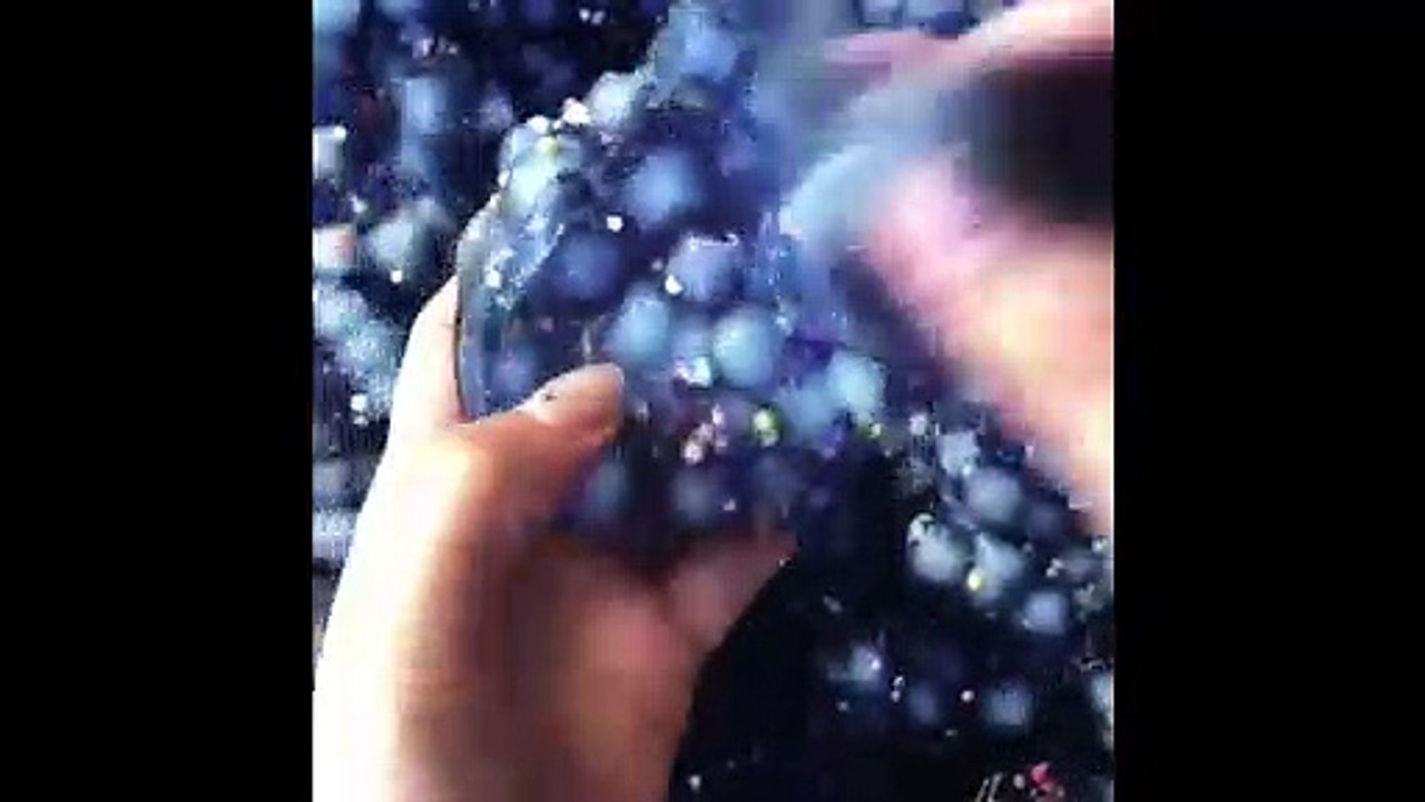 Satisfying Slime Asmr Videos!!