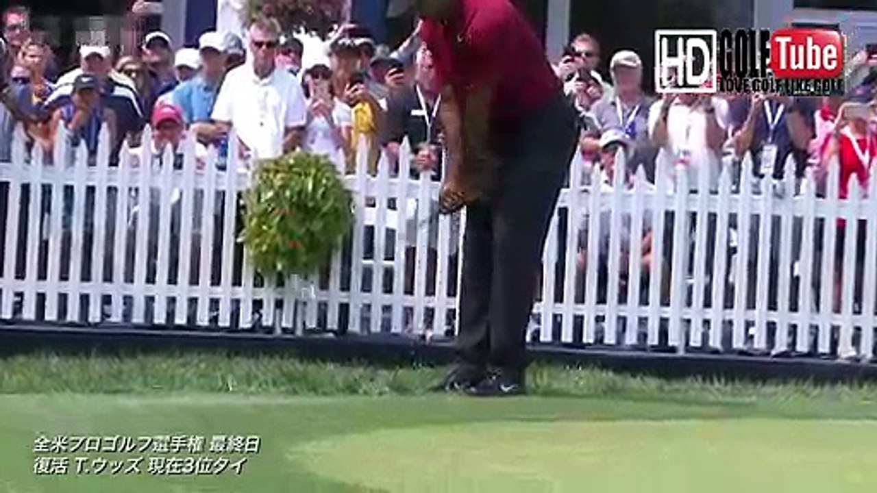 【GOLF】Tiger Woods タイガーウッズ プロ　全米プロ 最終日7番ホール　サードア...